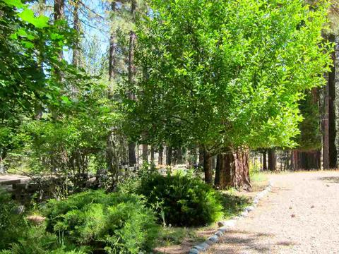 8 Iroquois Trl, Graeagle, CA 96103 photo 20
