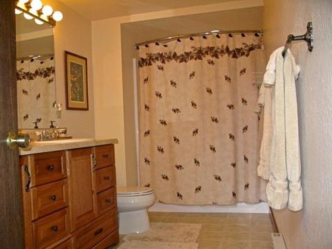 58 Graeagle Meadows Rd, Graeagle, CA 96103 photo 15