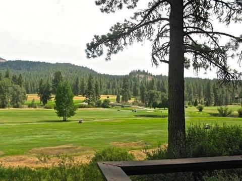 58 Graeagle Meadows Rd, Graeagle, CA 96103 photo 17