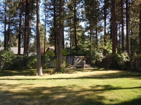 553 Purdy Rd, Chester, CA 96020 photo 3