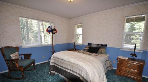 110 Slim Dr, Lake Almanor West, CA 96020 photo 14