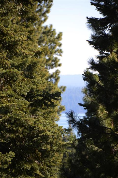 110 Slim Dr, Lake Almanor West, CA 96020 photo 20