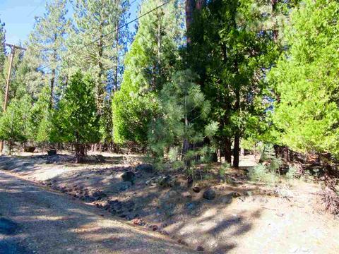 6 Huchnom Trl, Graeagle, CA 96103 photo 5