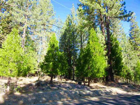 6 Huchnom Trl, Graeagle, CA 96103 photo 6