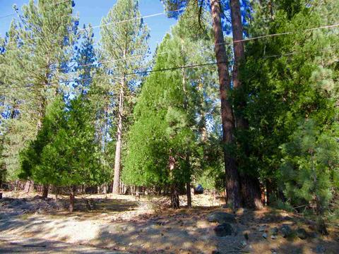 6 Huchnom Trl, Graeagle, CA 96103 photo 2