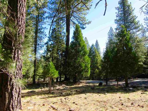 6 Huchnom Trl, Graeagle, CA 96103 photo 3