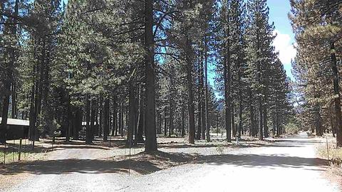 221 Meadow Ranch Rd, Calpine, CA 96124 photo 12
