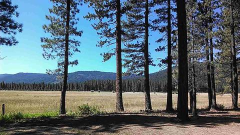 221 Meadow Ranch Rd, Calpine, CA 96124 photo 20