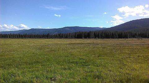 221 Meadow Ranch Rd, Calpine, CA 96124 photo 16