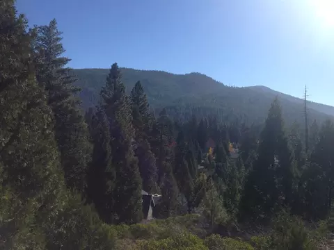 3344 Hill Crest Dr, Hamilton Branch, CA 96137