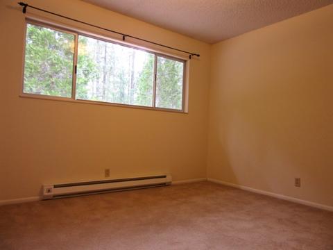 42 Yonkalla Trl, Graeagle, CA 96103 photo 7
