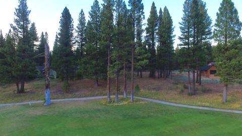 230 Quail View Cir, Clio, CA 96106 photo 1