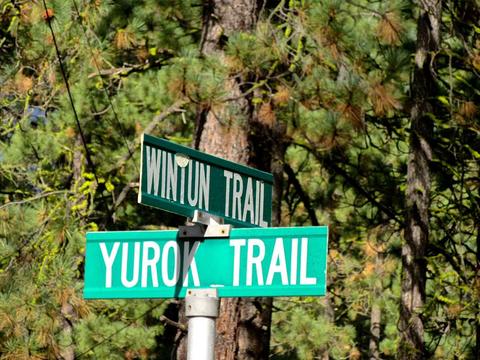 1 Yurok Trl, Graeagle, CA 96103 photo 19