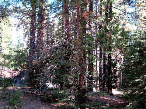 8 Sioux Trl, Graeagle, CA 96013 photo 3