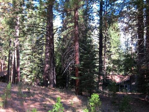 8 Sioux Trl, Graeagle, CA 96013 photo 5