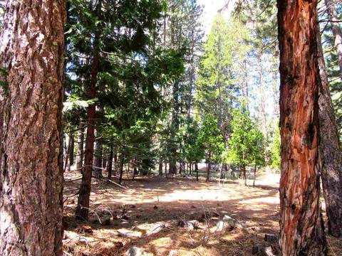 6 Mohave Trl, Graeagle, CA 96103 photo 3