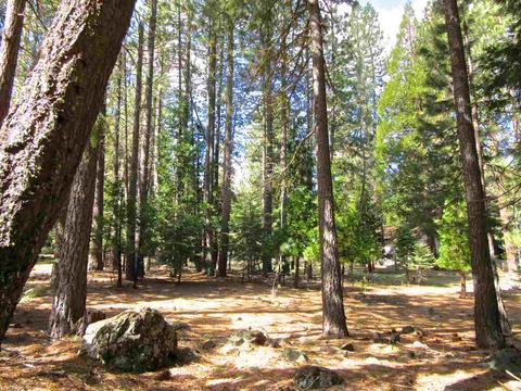 6 Mohave Trl, Graeagle, CA 96103 photo 2