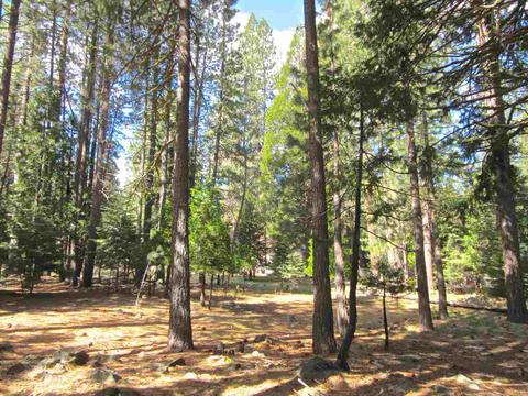6 Mohave Trl, Graeagle, CA 96103 photo 4