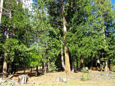 6 Mohave Trl, Graeagle, CA 96103 photo 5