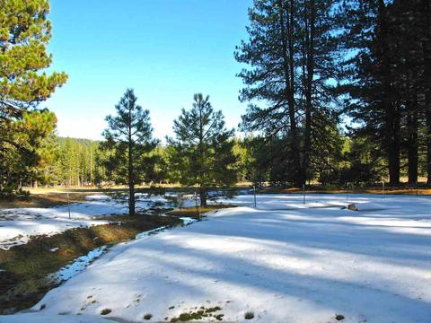 1065 Goldridge Dr, Graeagle, CA 96103 photo 19
