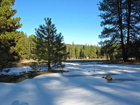 1065 Goldridge Dr, Graeagle, CA 96103 photo 20