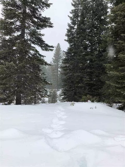 88 Bailey Creek Dr, Lake Almanor, CA 96137