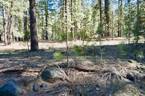 11 Paiute Trl, Graeagle, CA 96103 photo 8