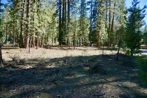 11 Paiute Trl, Graeagle, CA 96103 photo 6