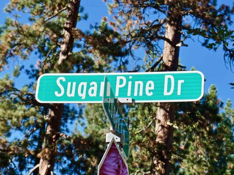 5 Sugar Pine Dr, Blairsden, CA 96103 photo 20