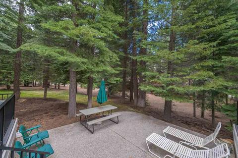 353 Osprey Loop, Lake Almanor West, CA 96020 photo 26