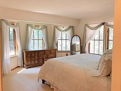 316 Osprey Loop, Chester, CA 96020 photo 18