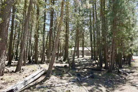 6 Nozi Trl, Graeagle, CA 96103 photo 2