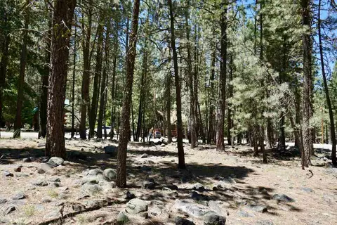 6 Nozi Trl, Graeagle, CA 96103 photo 4