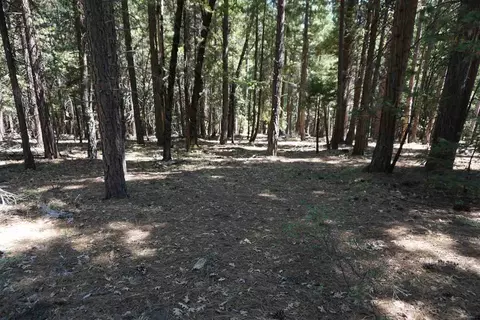 1981 Cedar Ln, Quincy, CA 95971 photo 1