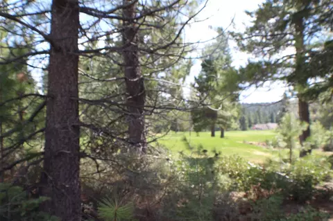 417 Bailey Creek Dr, Lake Almanor, CA 96137