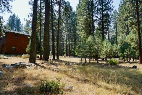 25 Yonkalla Trl, Graeagle, CA 96103 photo 1