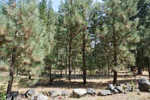25 Yonkalla Trl, Graeagle, CA 96103 photo 3