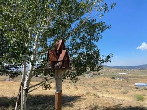 95812 Hillside Dr, Chilcoot, CA 96105 photo 18