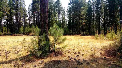 688 Willhoite Rd, Chester, CA 94583 photo 2
