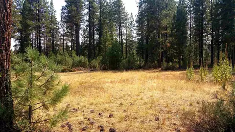 688 Willhoite Rd, Chester, CA 94583 photo 1