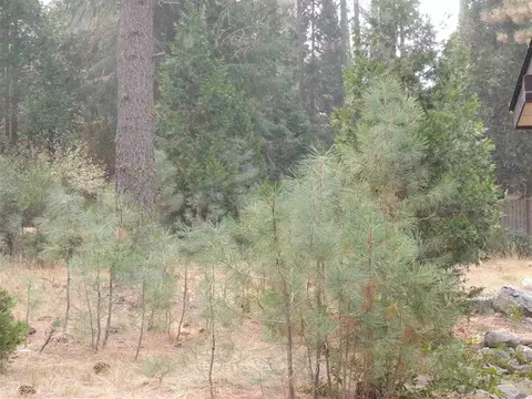 67 Tolowa Trl, Graeagle, CA 96103 photo 4