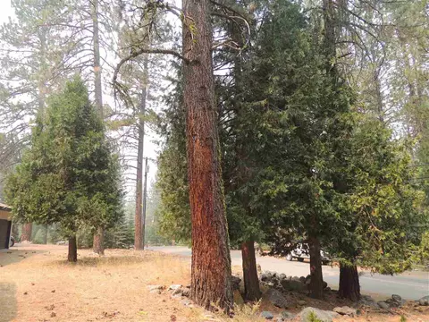 67 Tolowa Trl, Graeagle, CA 96103 photo 2
