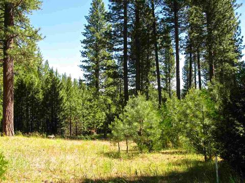 755 Carmichael Rd, Clio, CA 96106 photo 8