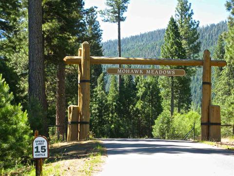 755 Carmichael Rd, Clio, CA 96106 photo 15
