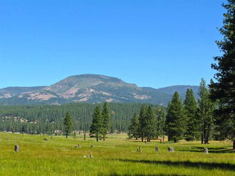 755 Carmichael Rd, Clio, CA 96106 photo 6