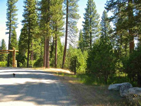 755 Carmichael Rd, Clio, CA 96106 photo 3