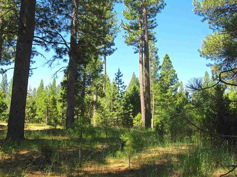 755 Carmichael Rd, Clio, CA 96106 photo 10