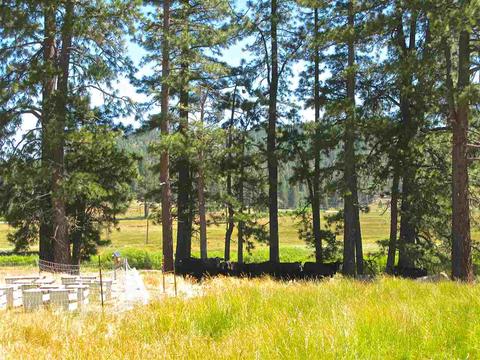 755 Carmichael Rd, Clio, CA 96106 photo 12