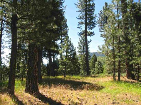 755 Carmichael Rd, Clio, CA 96106 photo 7