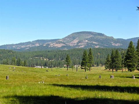 755 Carmichael Rd, Clio, CA 96106 photo 4